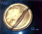Maple Plate
